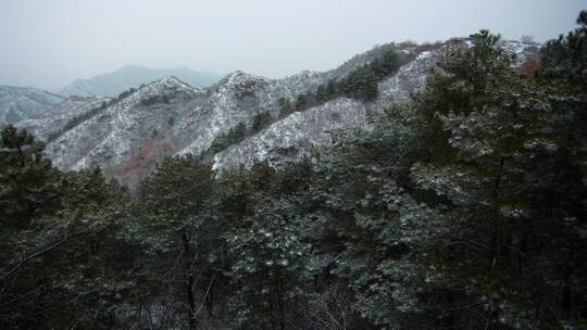 河北承德金山岭万里长城雪景