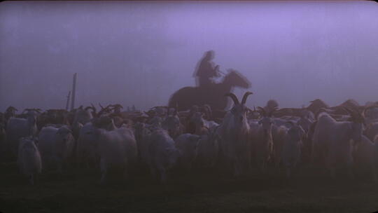 新疆草原哈萨克牧民牛羊成群视频素材模板下载