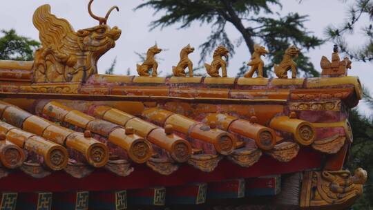 屋脊兽故宫太庙视频素材模板下载