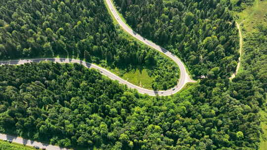 汽车行驶在自然森林公路