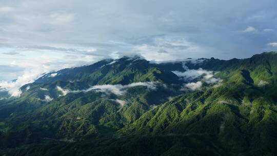 雨雾缭绕、光影斑驳的高黎贡山
