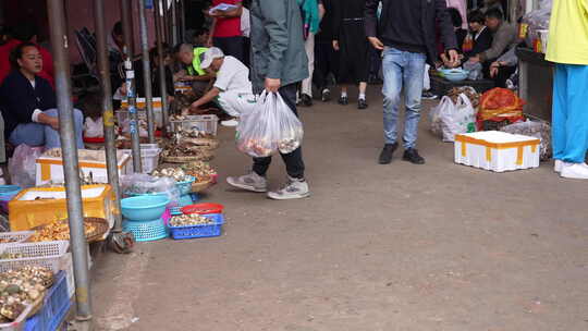 云南木水花野生菌交易市场