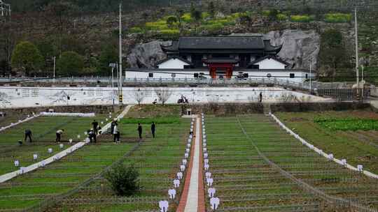 劳动空镜刨土锄地农场工人耕作劳作翻土