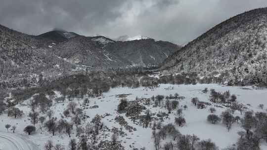 云南普达措国家公园冬季雪景航拍