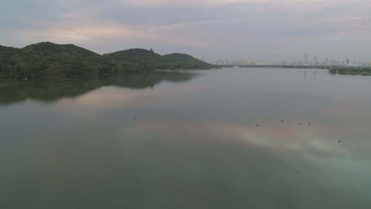 航拍武汉东湖磨山傍晚飞鸟