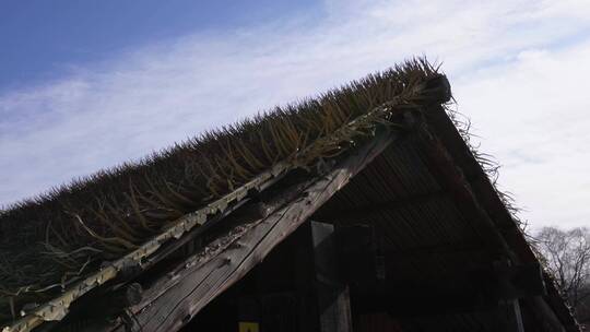 阿美族住屋茅草屋少数民族园台湾景区