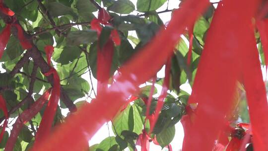 寺庙阳光穿过树叶红色丝带祝福带飘逸空镜视频素材模板下载