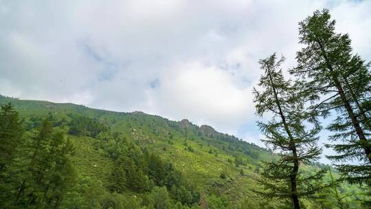 山西太原娄烦县云顶山景区固定延时视频素材模板下载