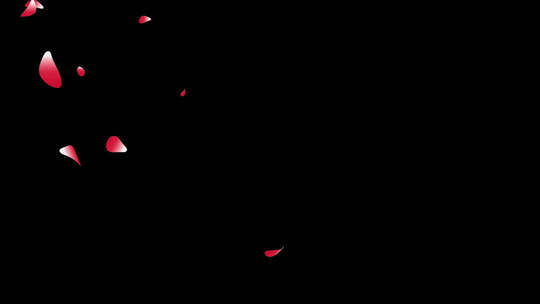 花瓣飘落（带通道）