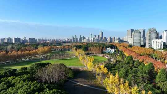 上海世纪公园秋景  上海秋天