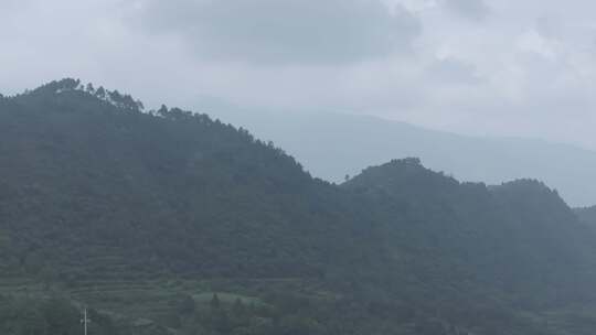 山谷树林风景log素材