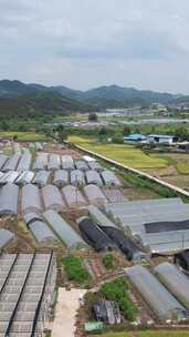 竖版航拍山川丘陵农田农业种植美丽乡村