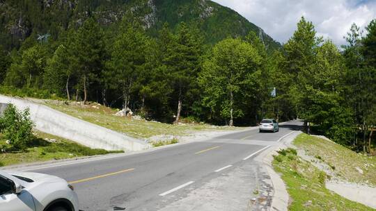 森林公路汽车驶离画面视频素材模板下载