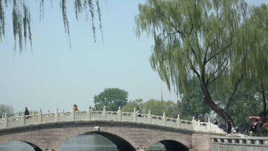 北京什刹海春天风景绿色可调色