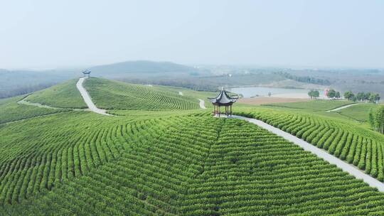 航拍安徽宣城郎溪大佛山养心谷绿茶园风景区