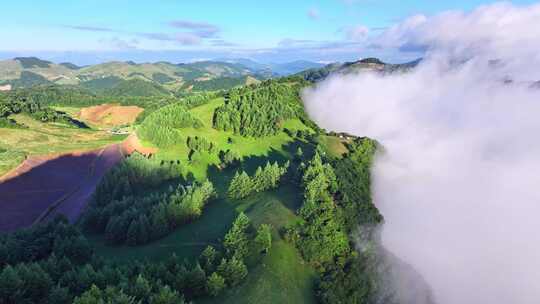 航拍高山森林云海云雾