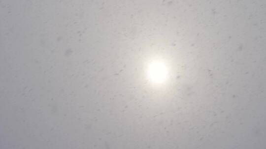 阴天下雪透过太阳看雪花飘落大雪天气