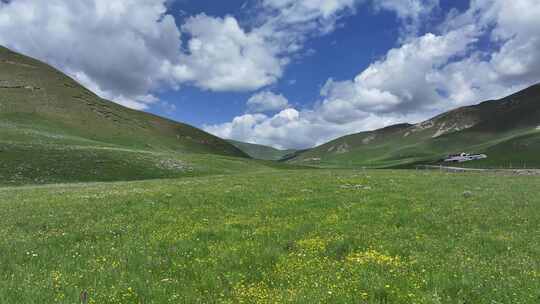青海高原草原蓝天白云
