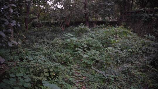 杭州宝石山景区宝云寺