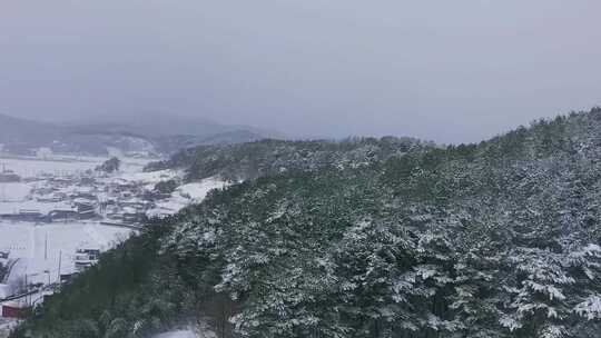 下雪的农村  被风雪覆盖的小村庄