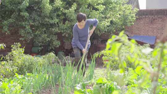 农村妇人院子里干农活