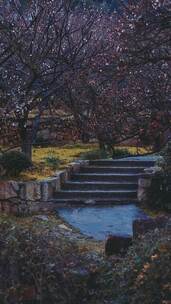 合浦海韵 清甜 民谣 宣传片 短剧 电 合浦海韵 清甜 民谣 宣传片 短剧 电