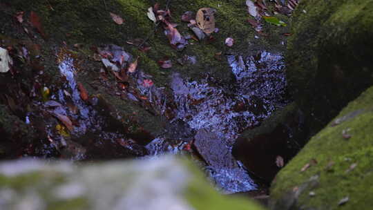 清澈的山涧溪水高速升格4K镜头