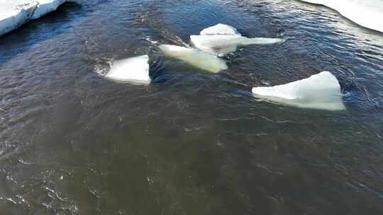 初春开河春训浮冰流水