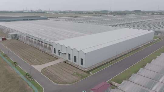 航拍大型蔬菜大棚基地