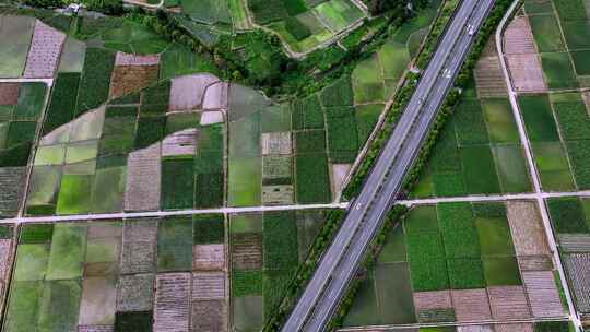 乡村稻田 高速公路宣传片