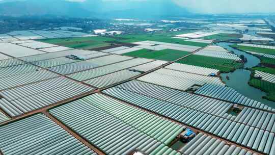 万亩大棚蔬菜水果鲜花种植基地