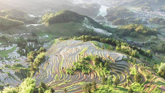 湖南娄底新化紫鹊界梯田航拍