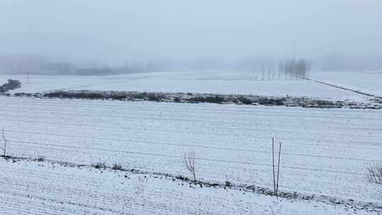冬天被大雪覆盖的田地