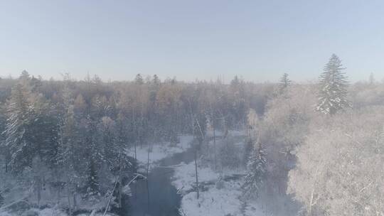 唯美长白山原始森林日出雪景航拍