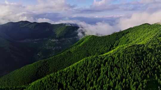 六盘山红军长征纪念馆景区