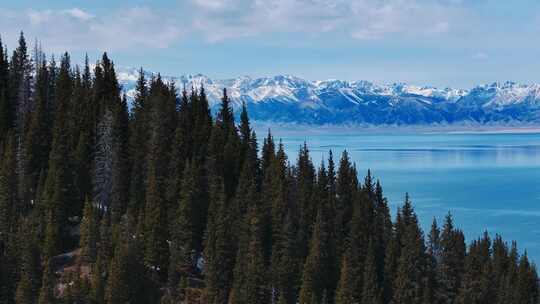 航拍雪山森林湖泊大自然风景