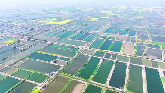 湖北鱼米之乡水产养殖基地航拍