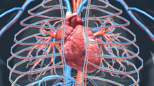 医学动画人体器官3D心脏动画心脏病变坏死