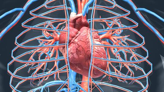 医学动画人体器官3D心脏动画心脏病变坏死视频素材模板下载