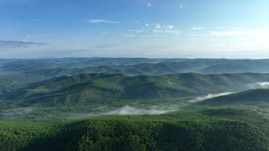 航拍辽阔绿色山林云雾风景