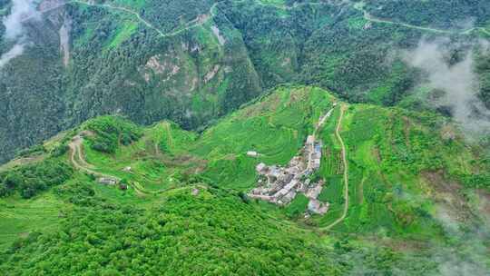 凹尼么 云南凹尼么 云南景东 景东 大山