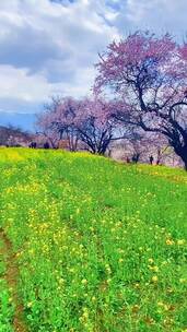 会当凌绝顶，一览众山小，山顶的风景