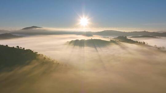 茶山茶园云海日出