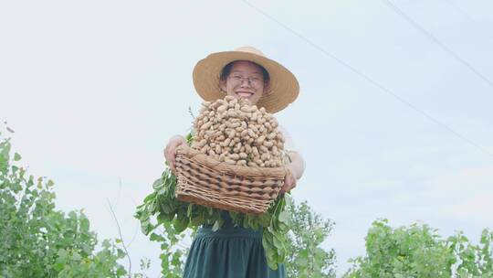 农田合集