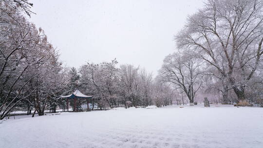 寧安公園大雪（03.19）