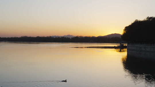 颐和园昆明湖鸭子游过湖面夕阳晚霞