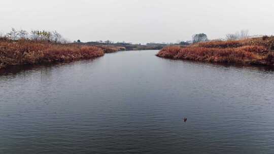 冬天河流