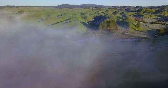 薄雾中的新西兰风景