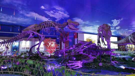 恐龙相关 暴龙 恐龙世界 恐龙化石 恐龙王国视频素材模板下载