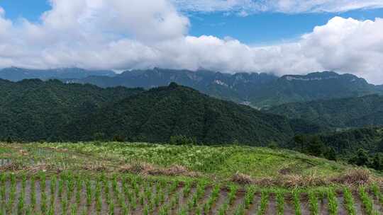 张家界天门山延时